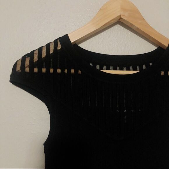 French Connection Rose Crepe Mesh Fit and Flare Dress sz 2 - Picture 5 of 6